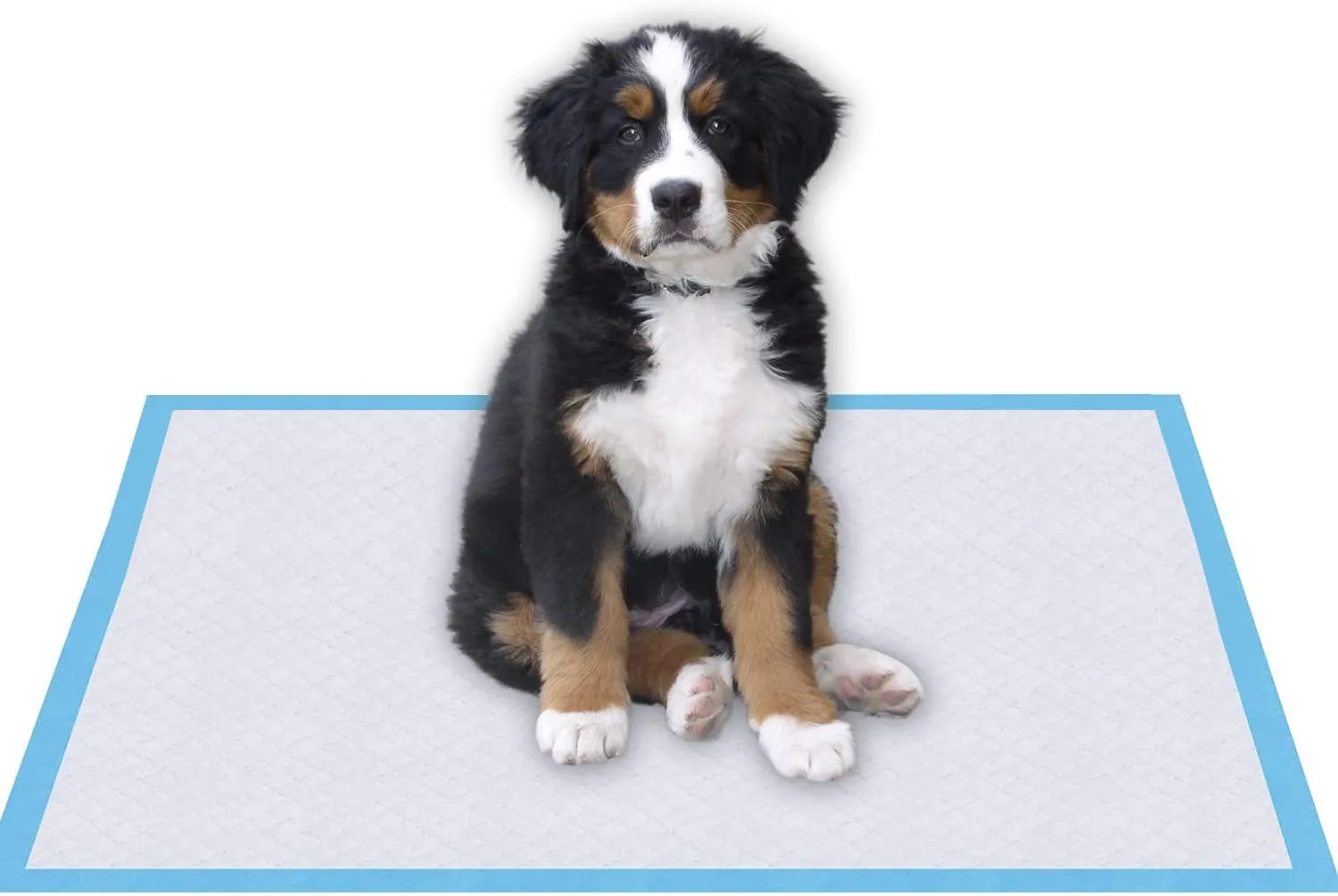 Lannso Pet Dog and Puppy Training Pads Pee Pads Super Absorbent Quick Drying No Leaking Large Size Pads for Dogs Cats Rabbits Pets Potty Pads