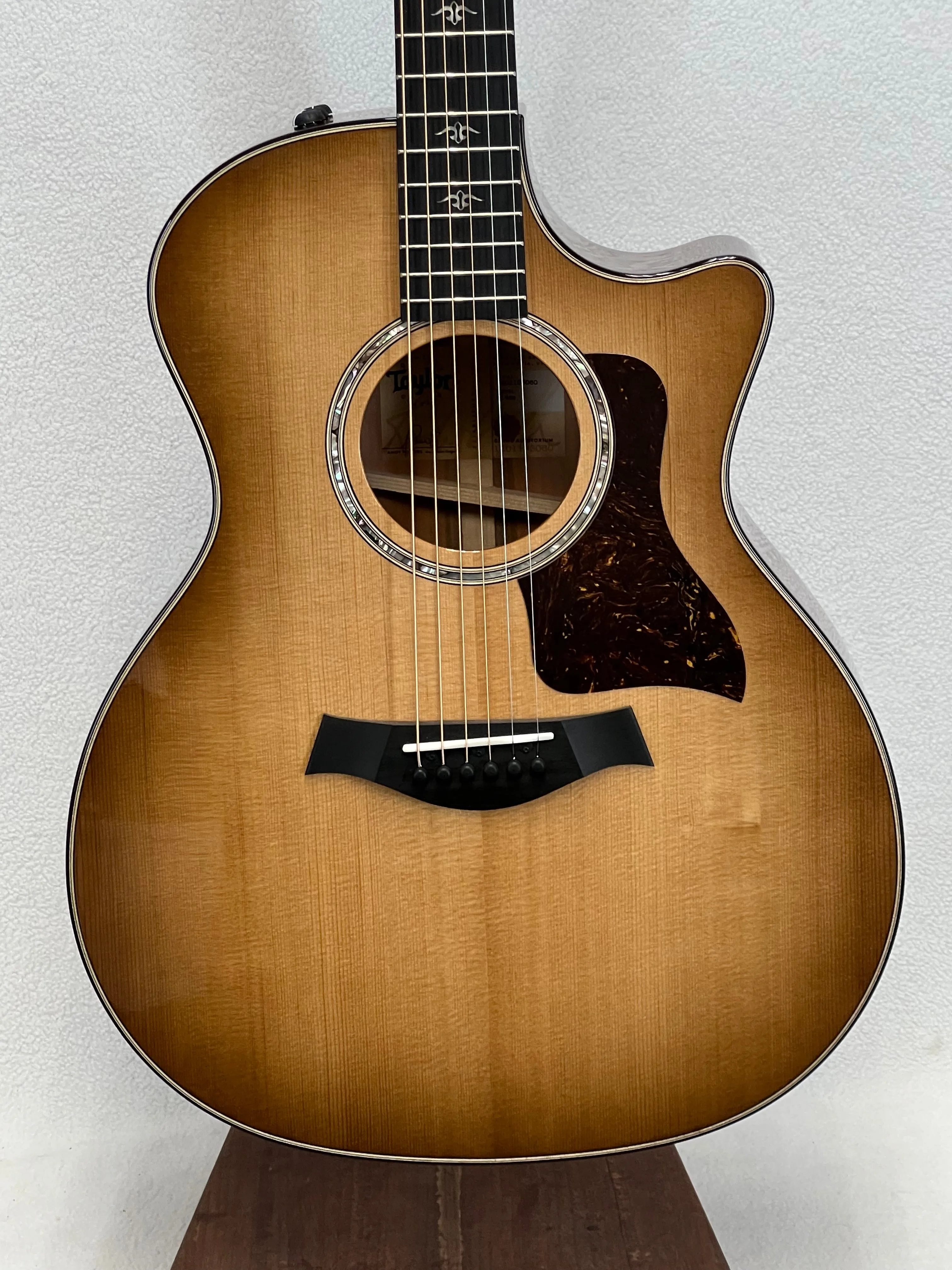 Taylor 514ce SN:1201193060 - DEMO SALE